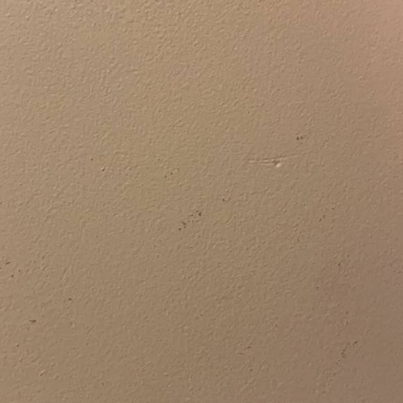 Meet your Posher, Lisa - Picture 1 of 1